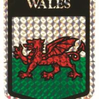 Sticker- Welsh Shield Metallic Vinyl x 12
