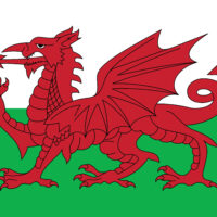 Welsh Dragon Tea Towel (Holiday Pre-Order ONLY)