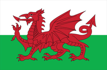 Welsh Dragon Tea Towel (Holiday Pre-Order ONLY)